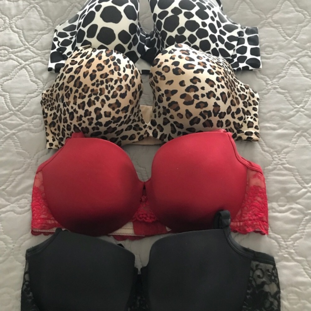 Cacique Bra Bundle